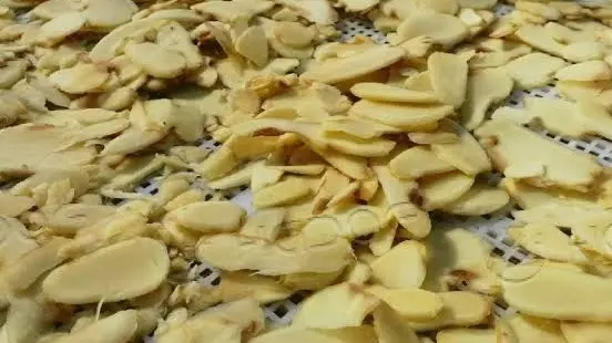 Sliced ginger spread out for drying