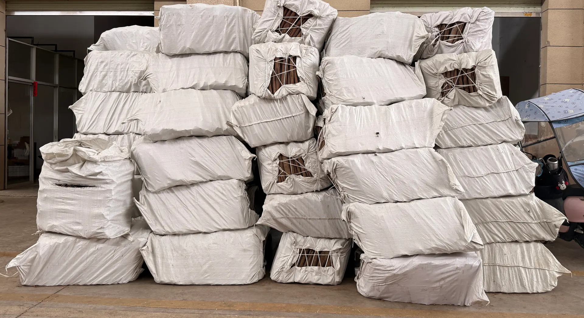 Cassia stock