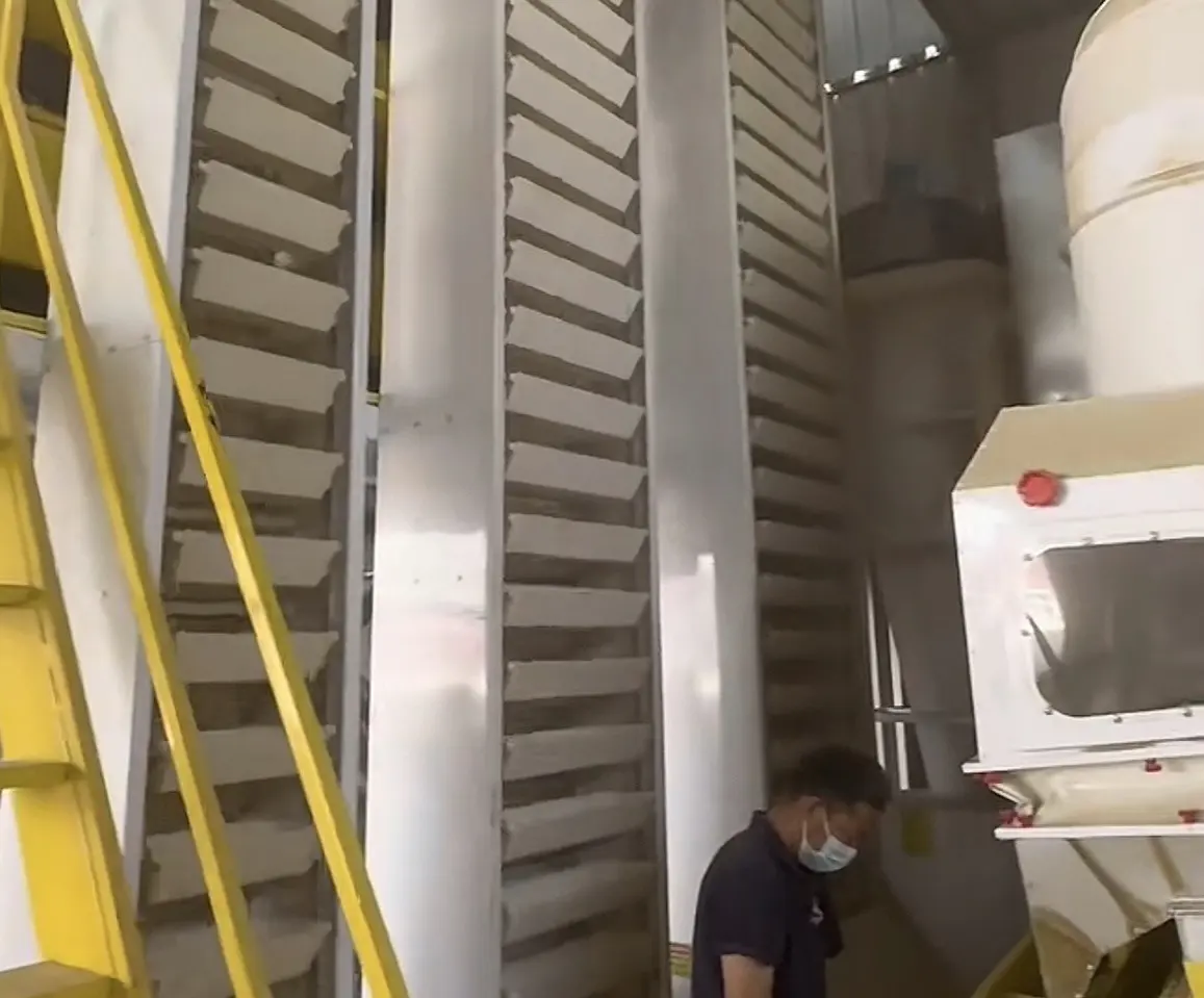Cumin passing through mechanical processing equipment