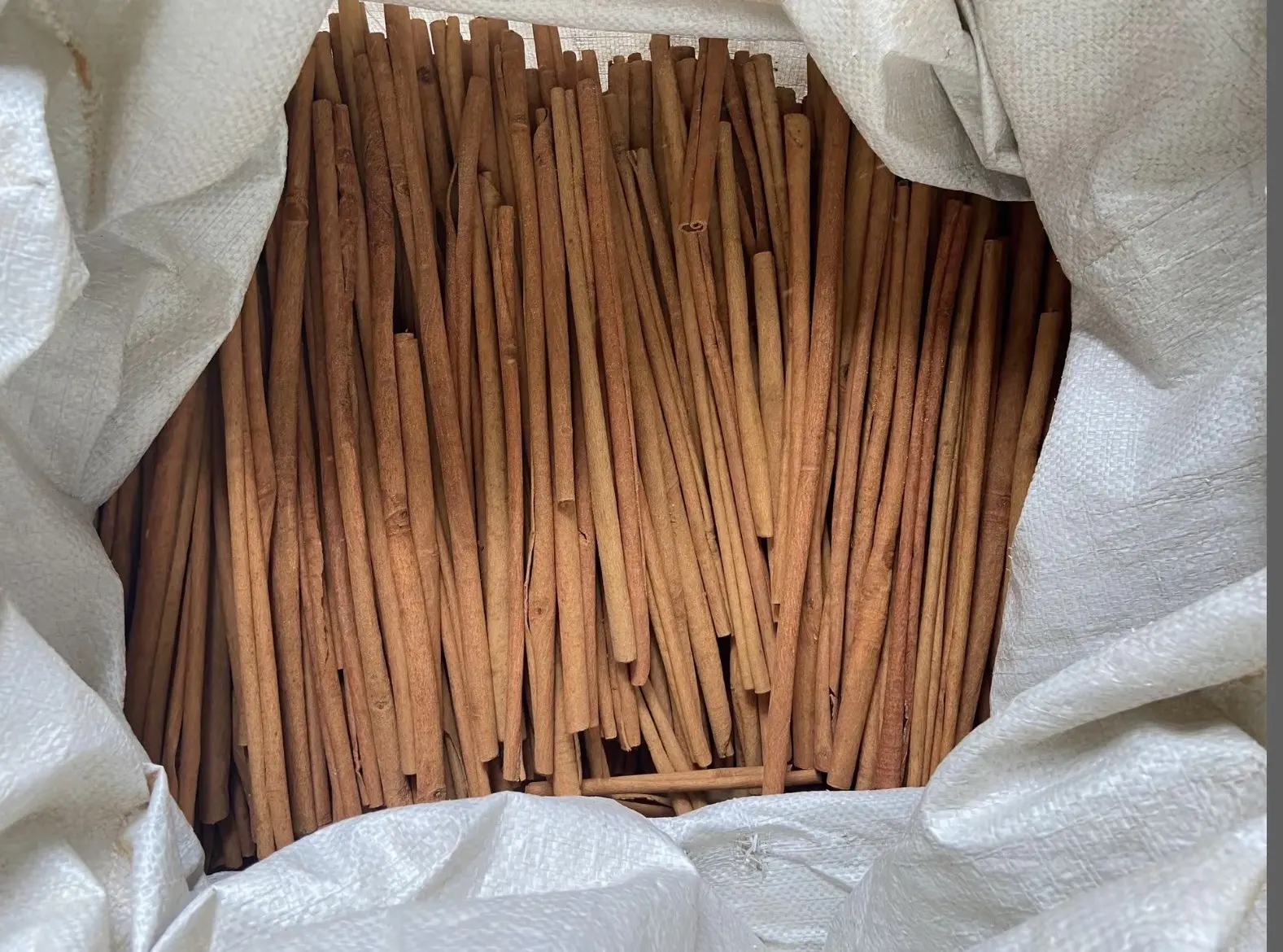 Scraped Long Rolls