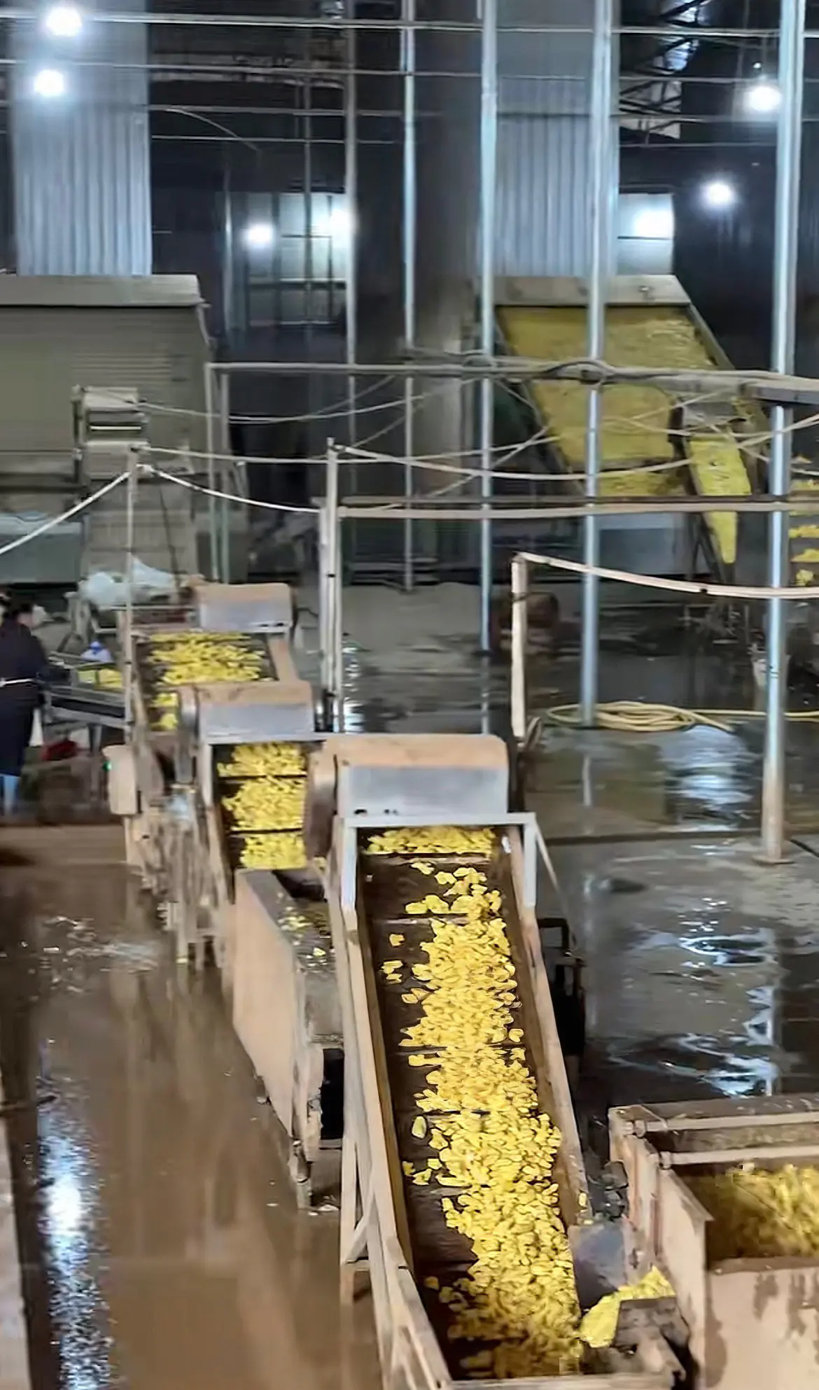 Processing line