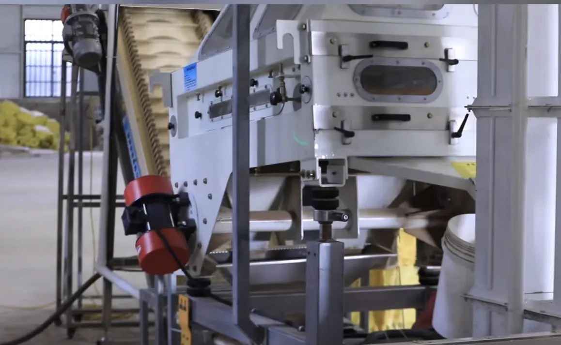 Pepper processing equipment inside a factory building