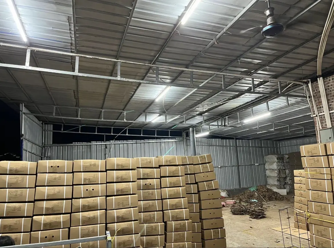 Plain cartons of cassia palletised under cover, ready for export packing