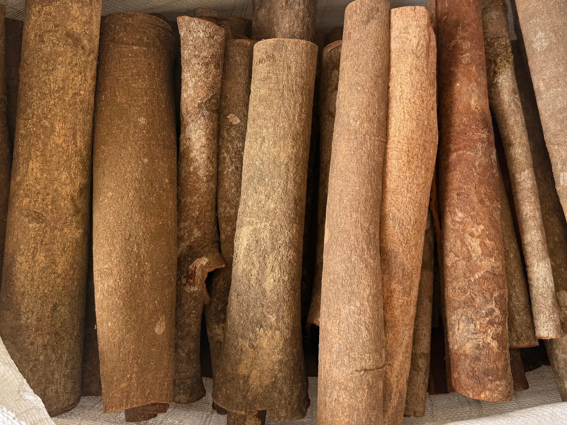 Natural Long Bark