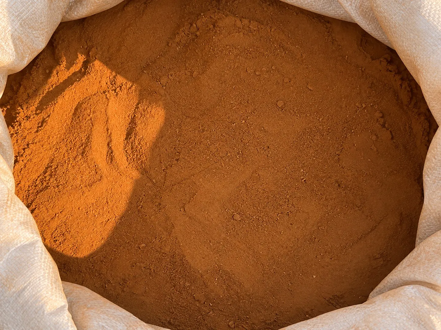 Ground Cassia