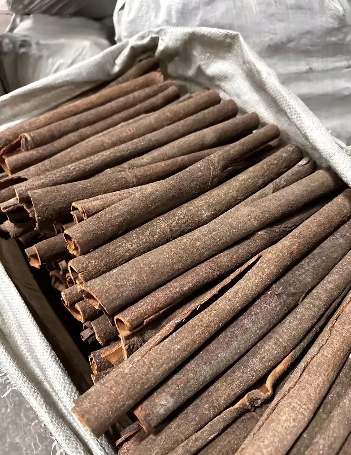 Natural Long Rolls