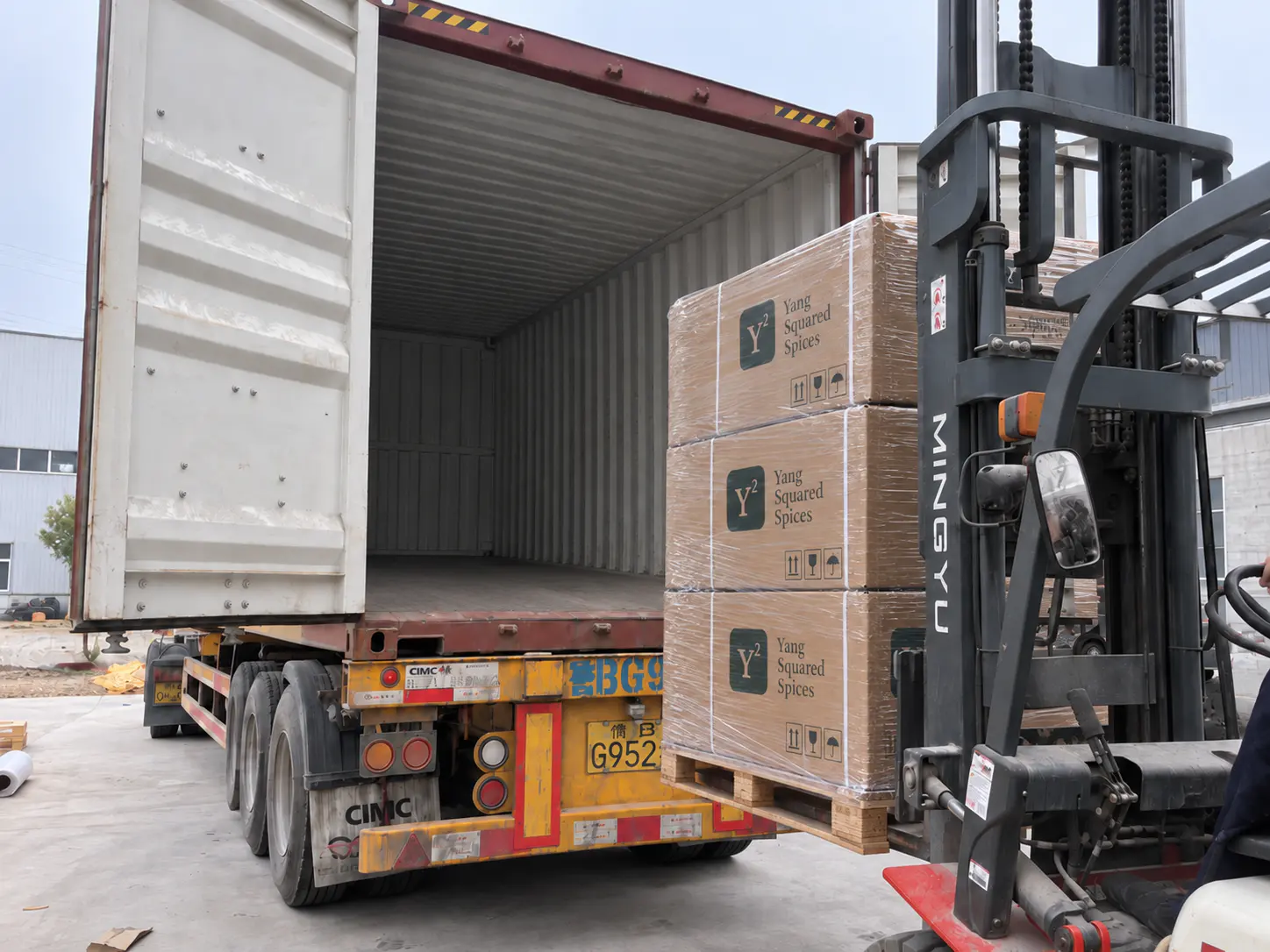 Illustration: pallets of Yang Squared Spices cartons loaded into a shipping container