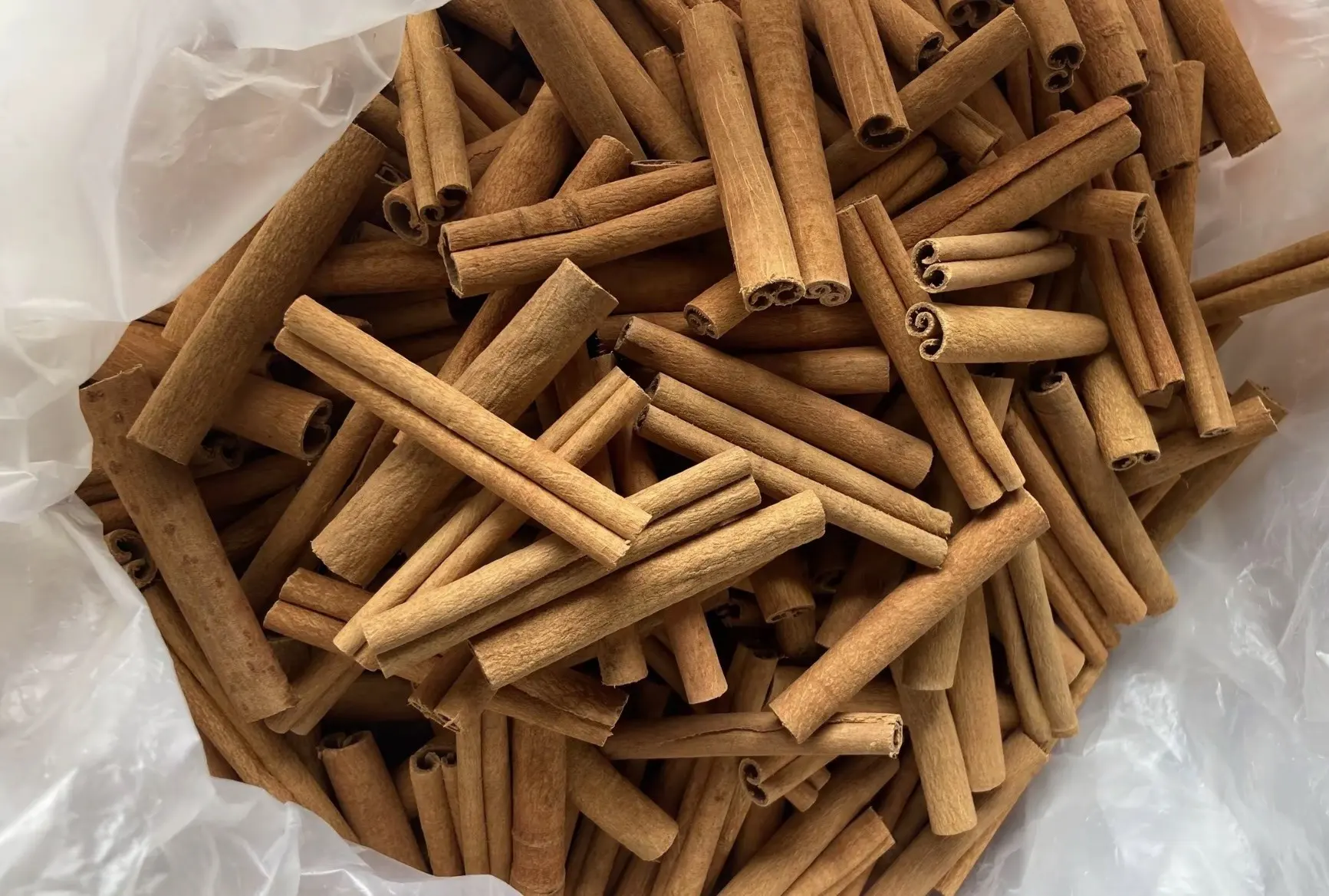 Scraped Cut-to-Length Sticks
