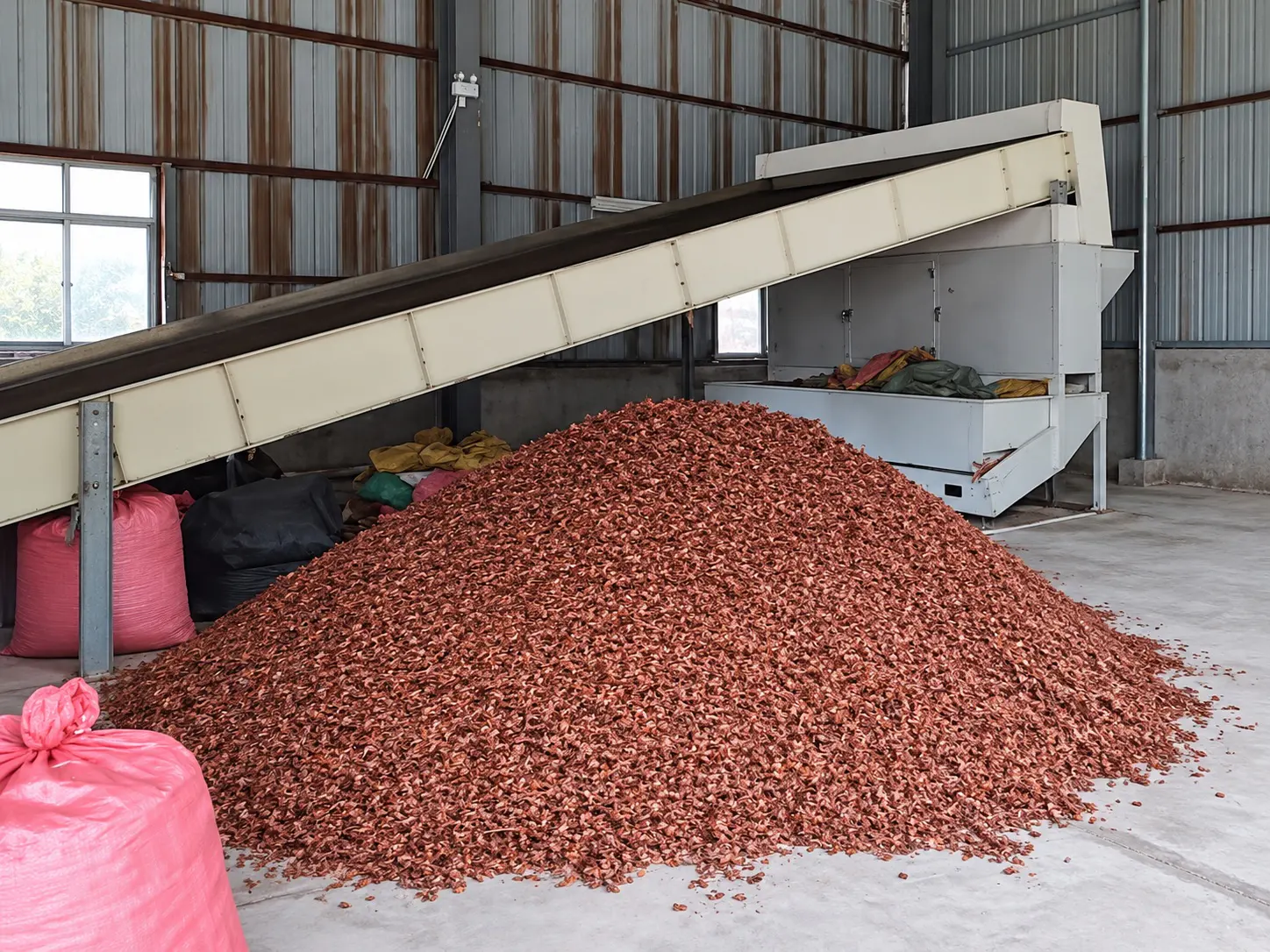 Large quantity of dried star anise beside processing equipment