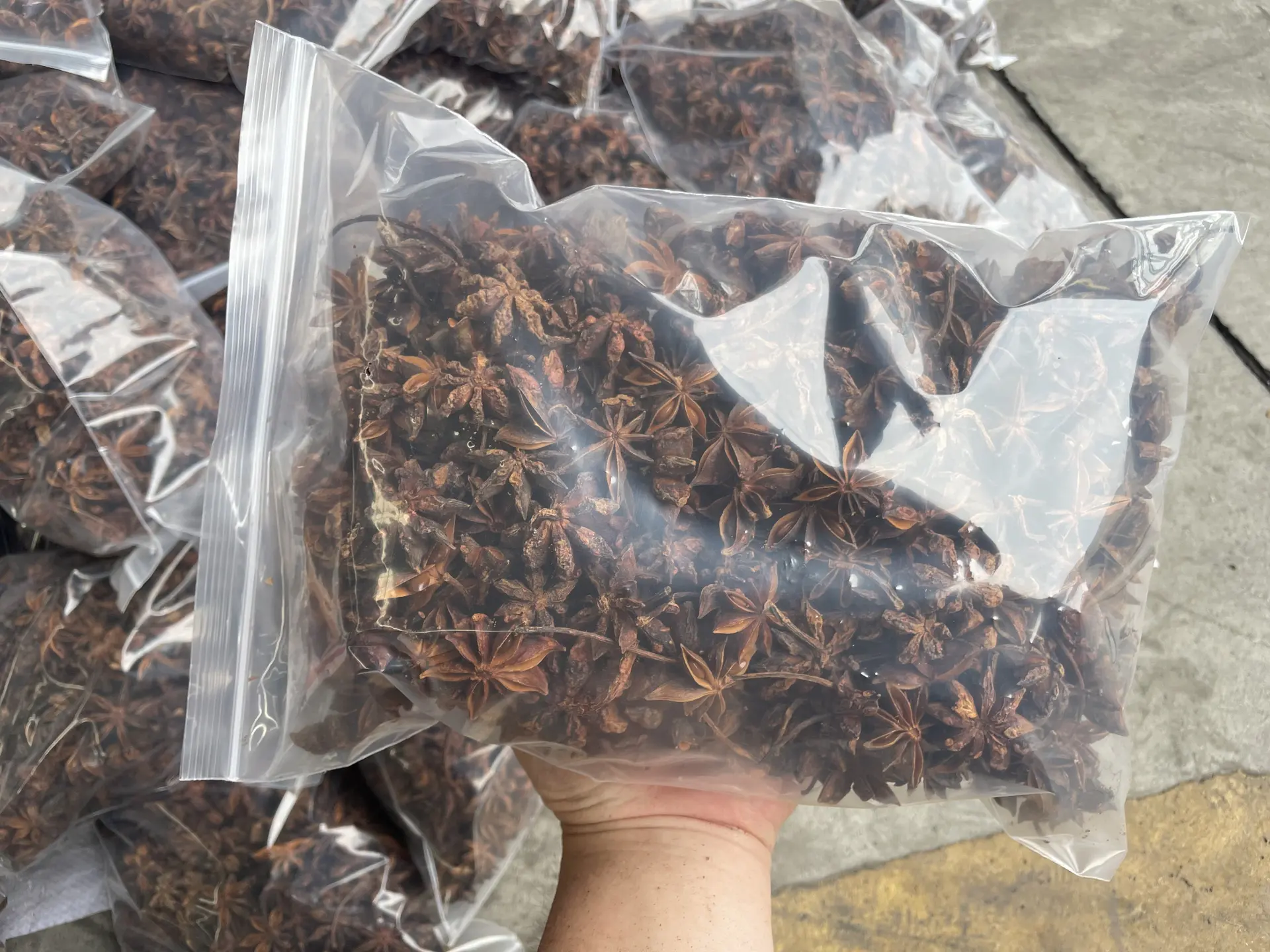 Sample pouch of whole star anise for buyer assessment