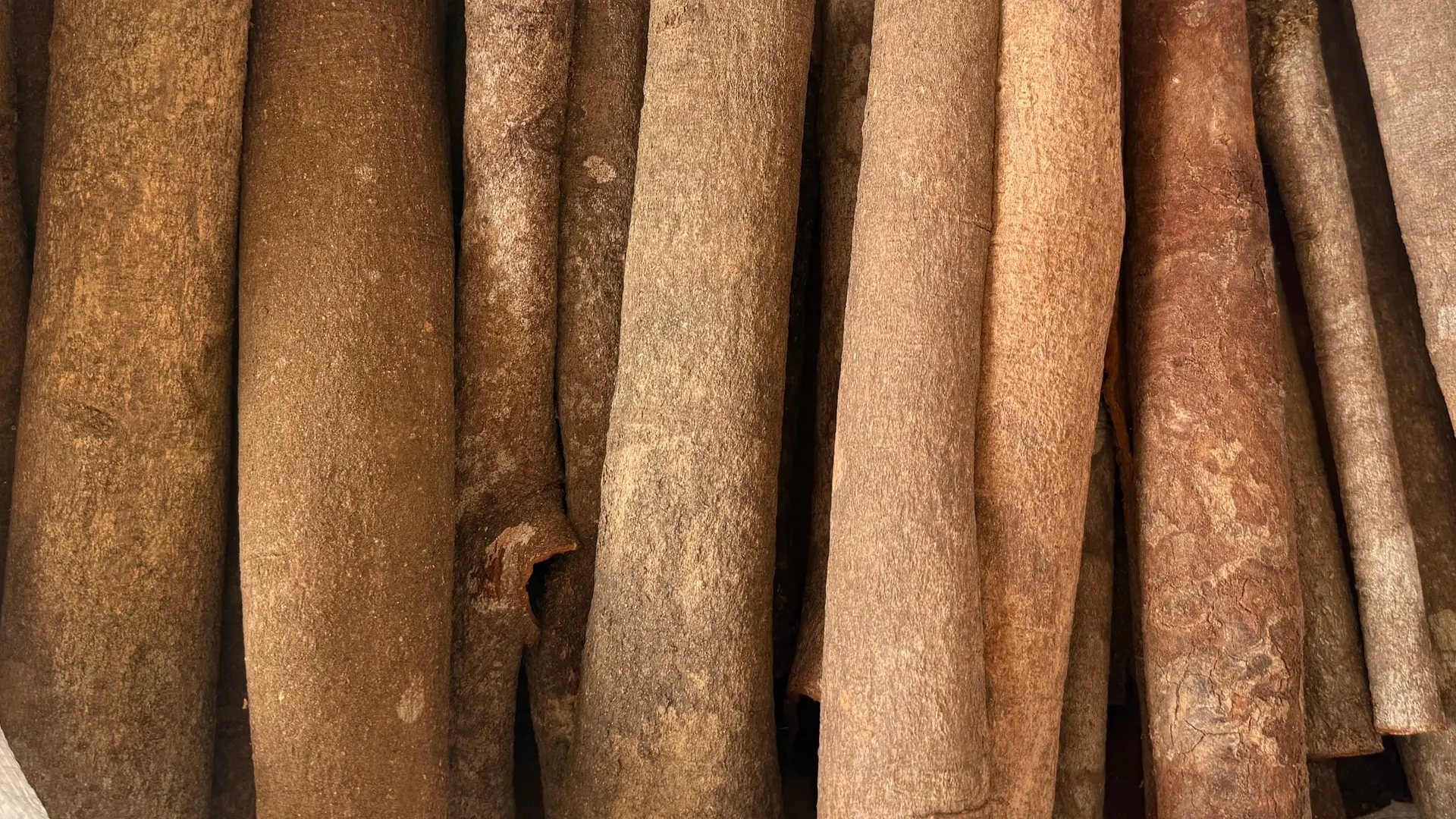 Canela china (casia)