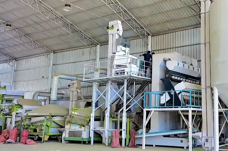 Fennel seed processing equipment inside a factory building