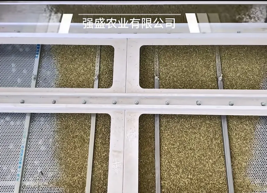 Fennel seed on a vibrating screen at a supplier’s facility