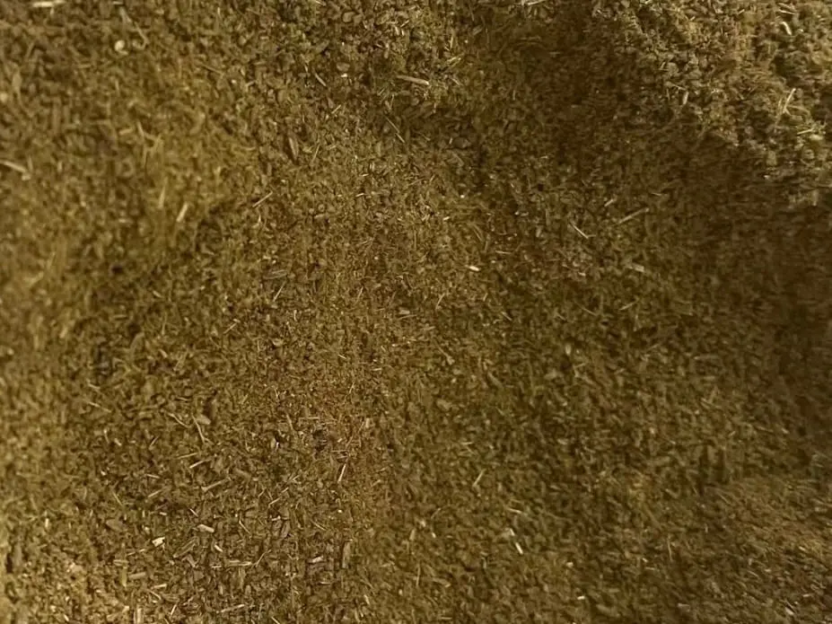 Poudre de cumin moulue