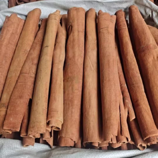 Long Guangxi cassia bark