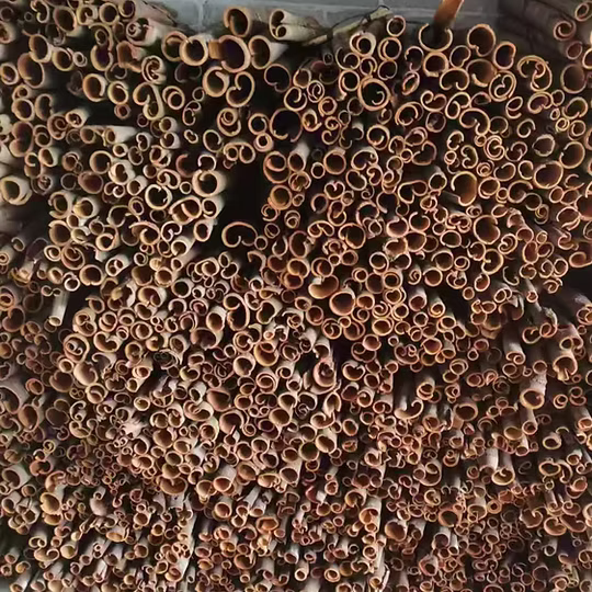 Rolled Guangxi cassia bark